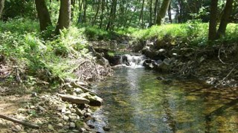 Karta