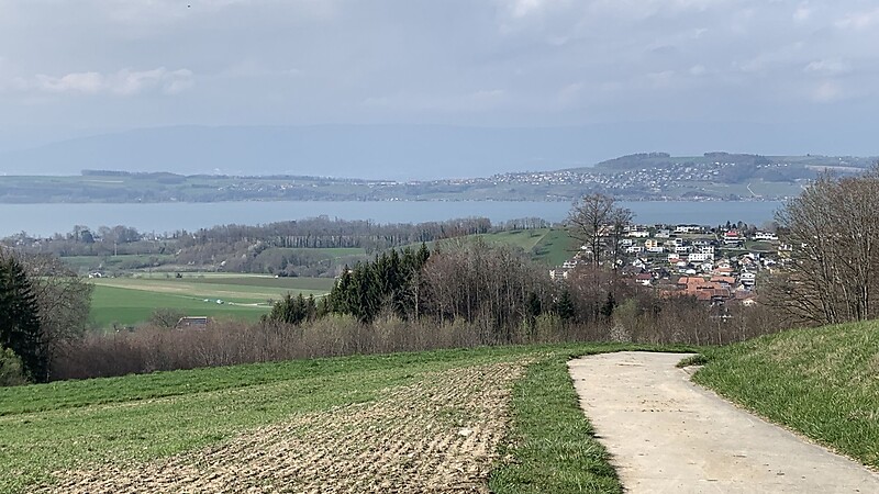 Karta