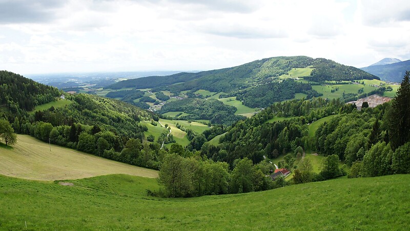 Karta
