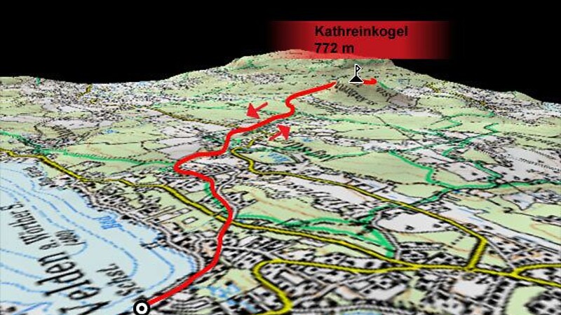Karta