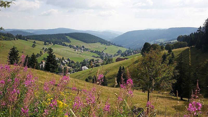 Karta