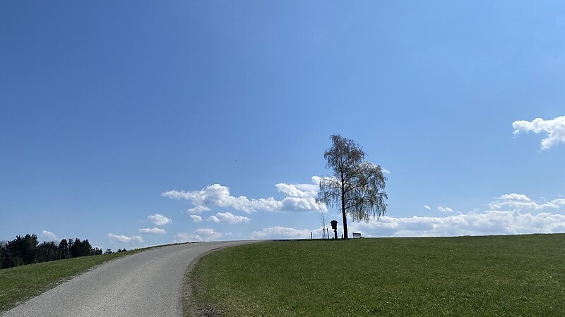 Karta