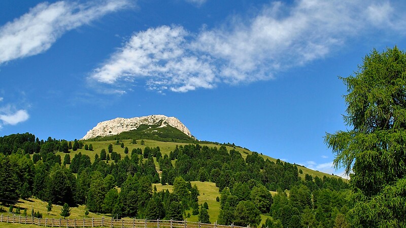 Karta