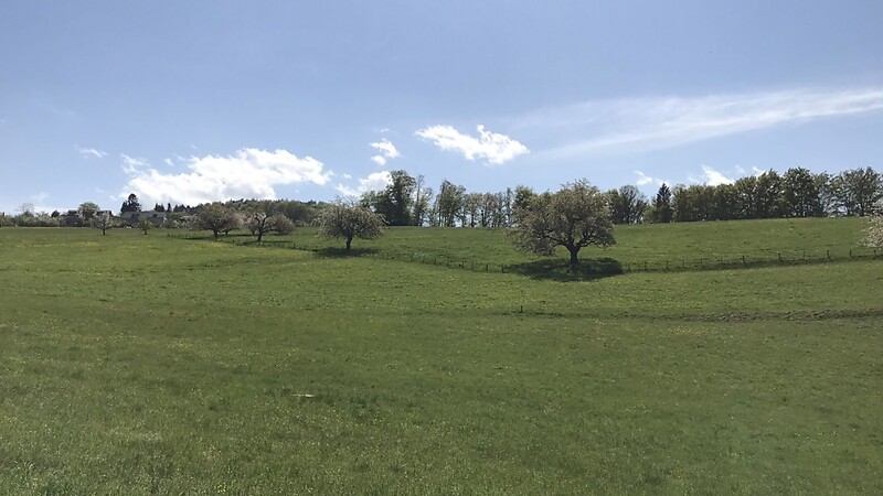 Karta