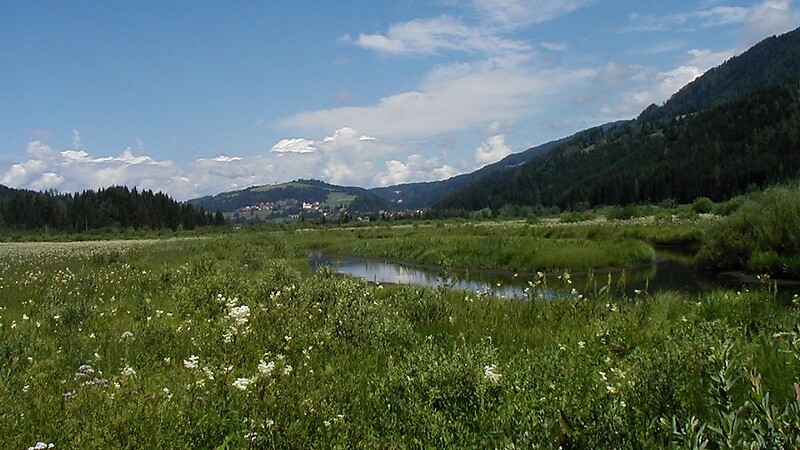 Karta