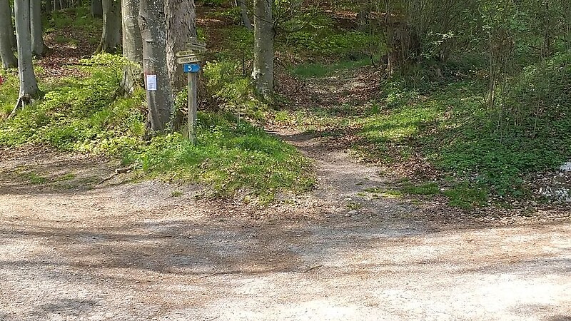Karta