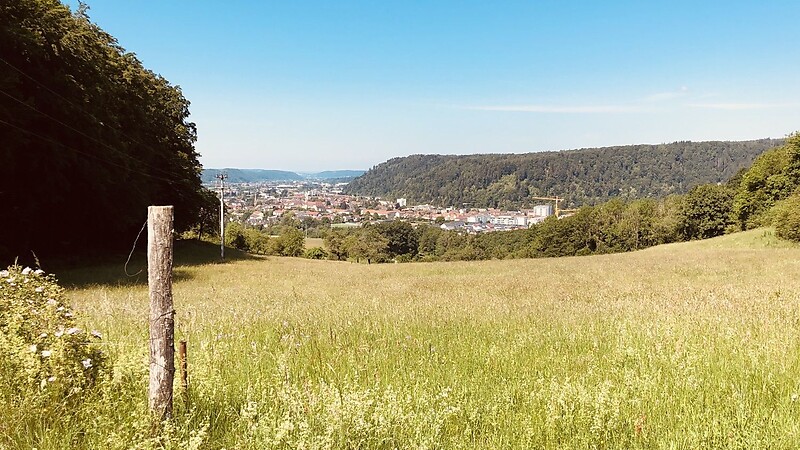 Karta