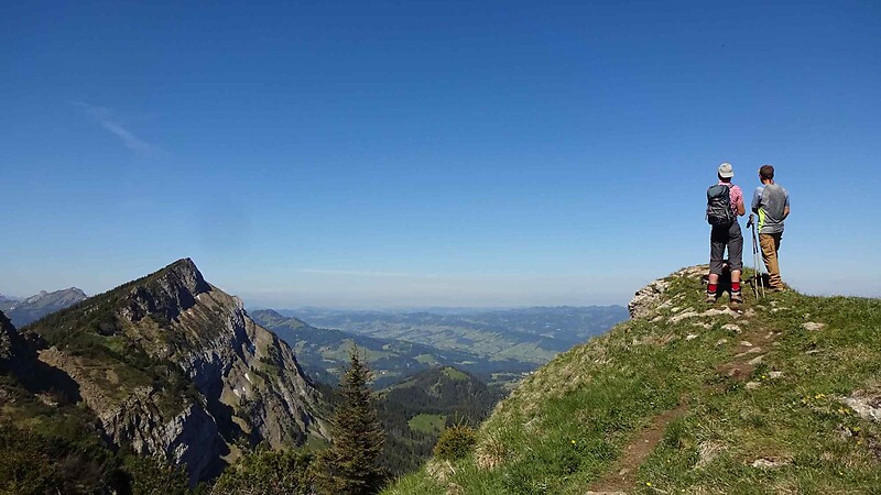 Karta