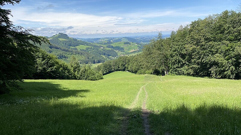 Karta