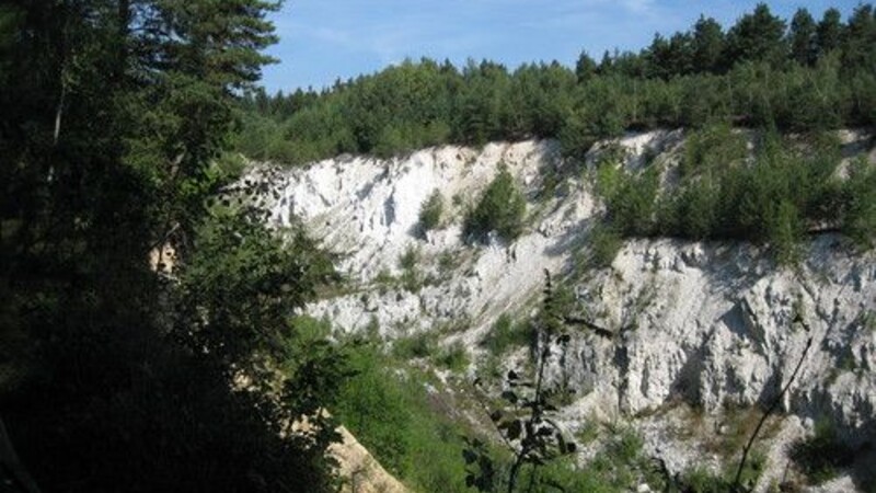 Karta