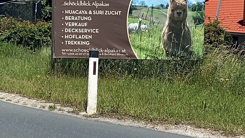 Karta