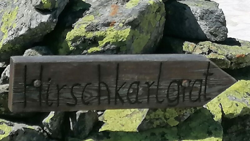 Karta