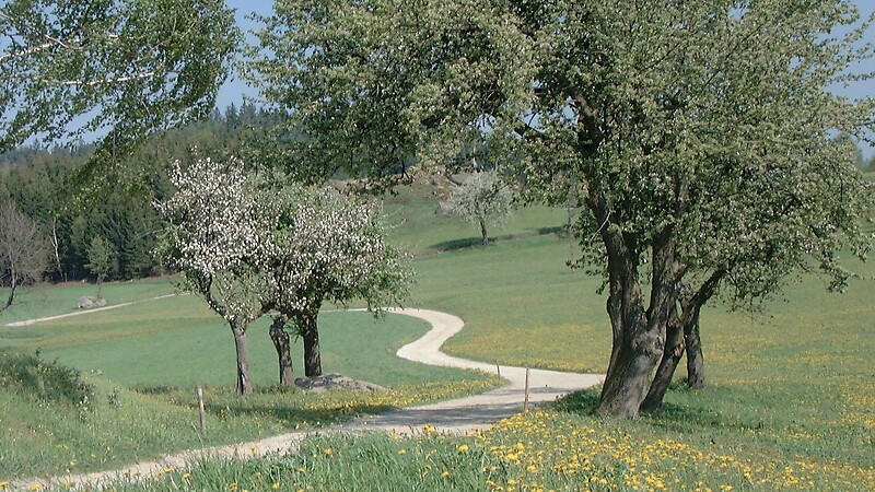 Karta