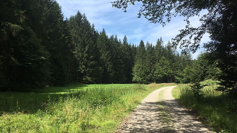 Karta