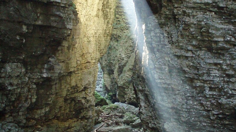 Karta