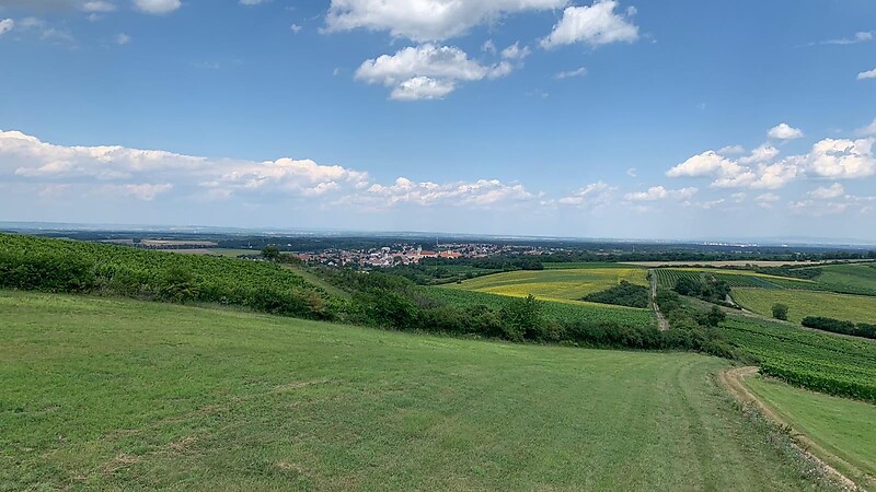 Karta