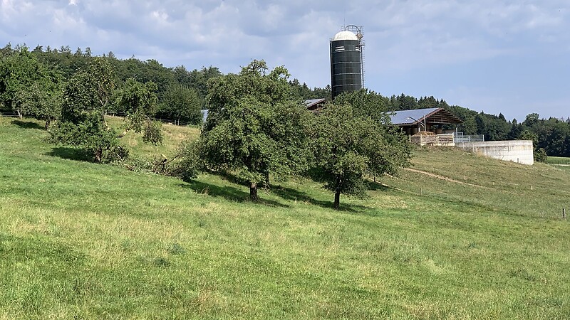 Karta