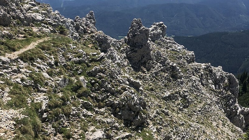 Karta