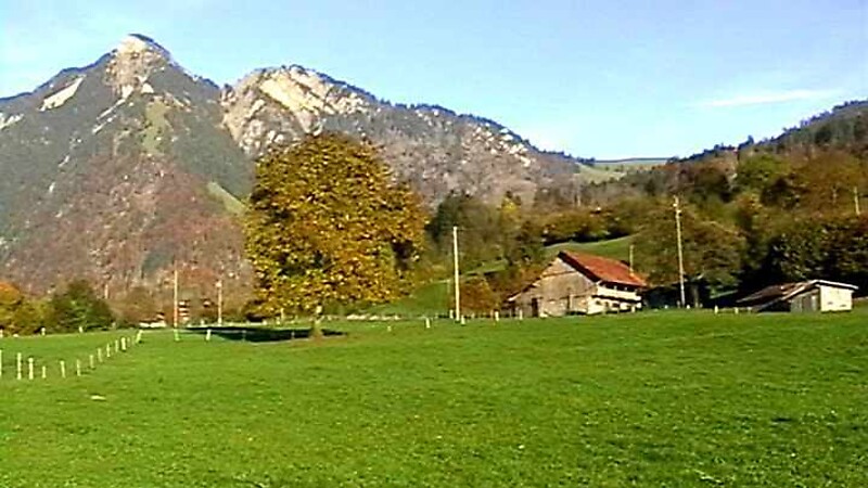Karta