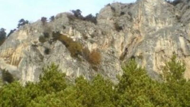 Karta