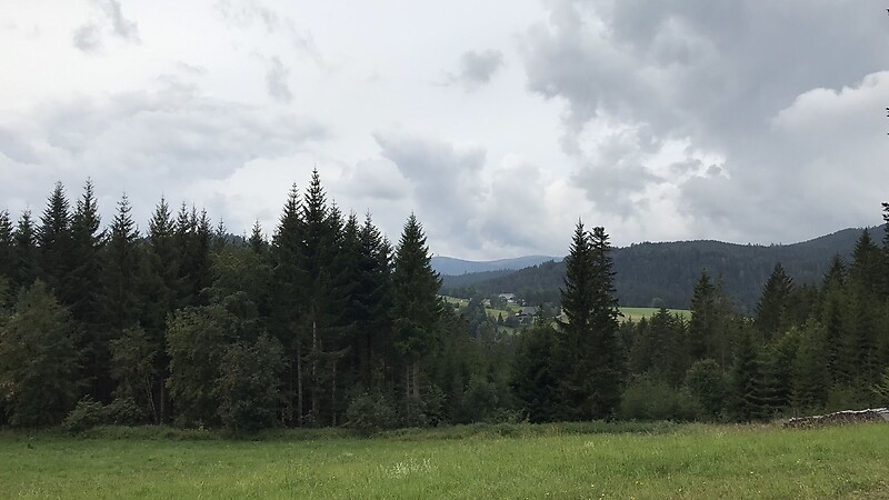 Karta