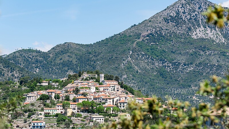 Karta