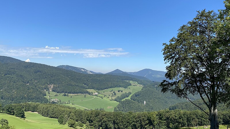 Karta