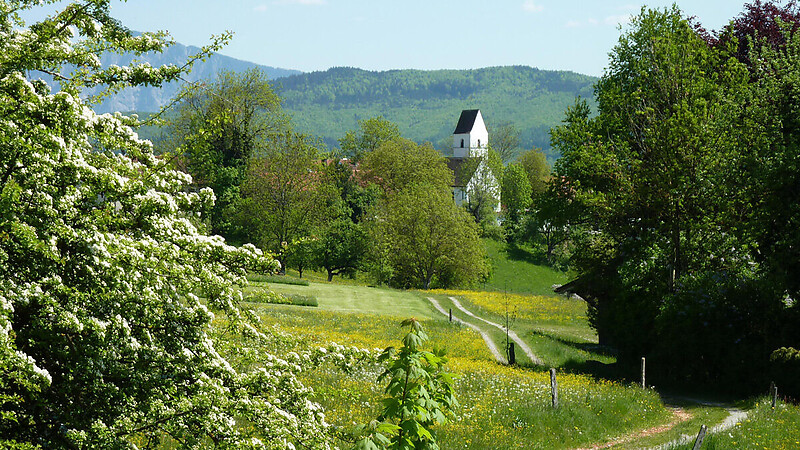 Karta