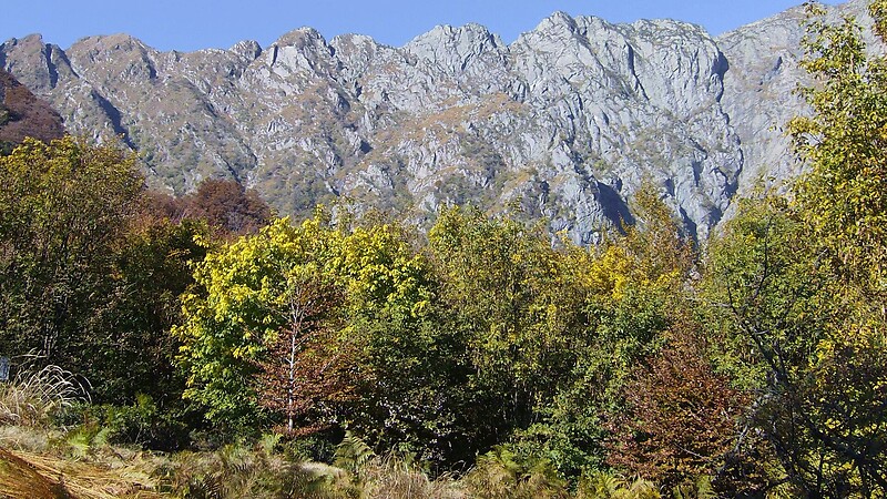 Karta
