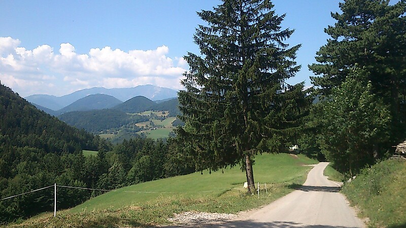 Karta