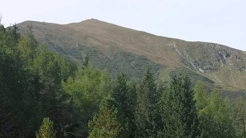 Karta