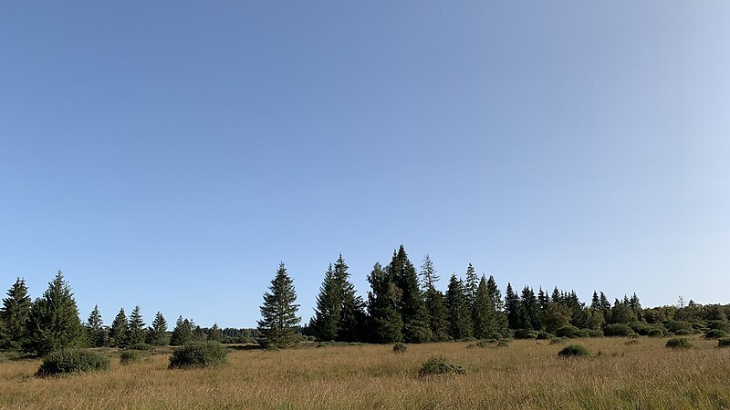 Karta