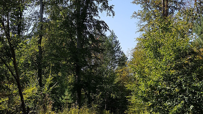 Karta