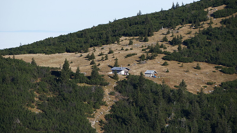 Karta