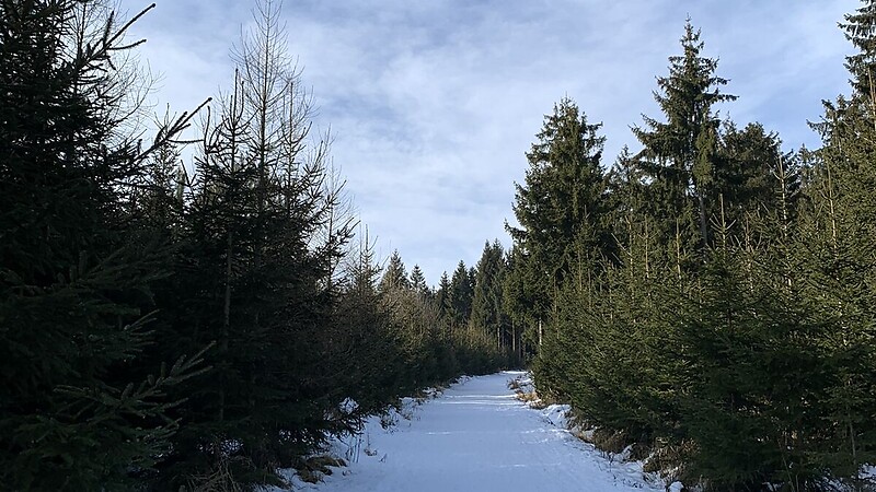 Karta